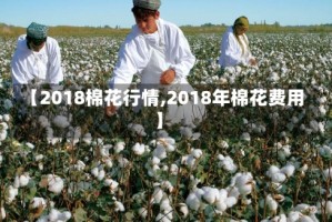 【2018棉花行情,2018年棉花费用】