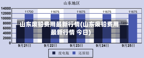 山东废铅费用最新行情(山东废铅费用最新行情 今日)-第1张图片