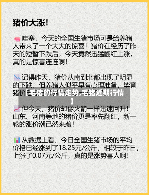 【毛猪的行情走势,毛猪近期行情】-第1张图片