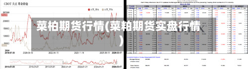 菜柏期货行情(菜粕期货实盘行情)-第1张图片