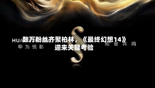 数万粉丝齐聚柏林，《最终幻想14》迎来关键考验-第1张图片