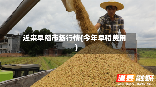 近来早稻市场行情(今年早稻费用)-第2张图片