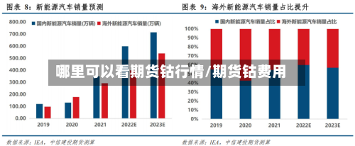 哪里可以看期货钴行情/期货钴费用-第1张图片