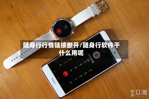 随身行行情链接断开/随身行软件干什么用呢-第1张图片