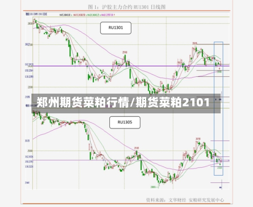 郑州期货菜粕行情/期货菜粕2101-第1张图片