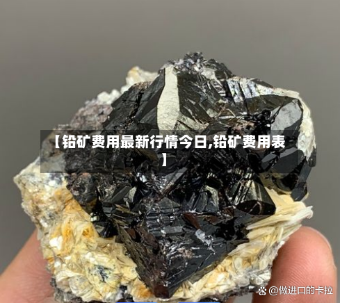 【铅矿费用最新行情今日,铅矿费用表】-第1张图片