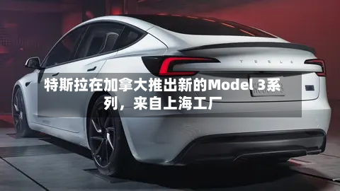 特斯拉在加拿大推出新的Model 3系列，来自上海工厂-第3张图片