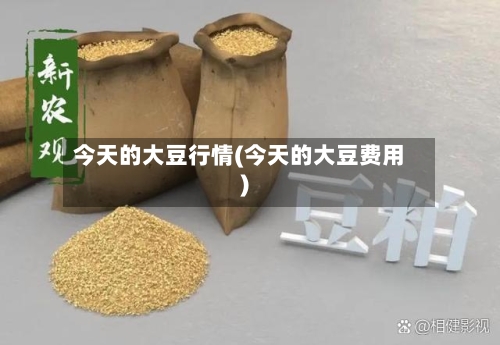 今天的大豆行情(今天的大豆费用)-第3张图片