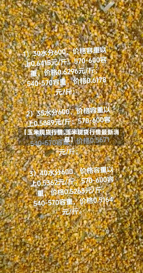 【玉米现货行情,玉米现货行情最新消息】-第2张图片