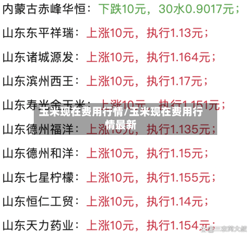 玉米现在费用行情/玉米现在费用行情最新-第2张图片