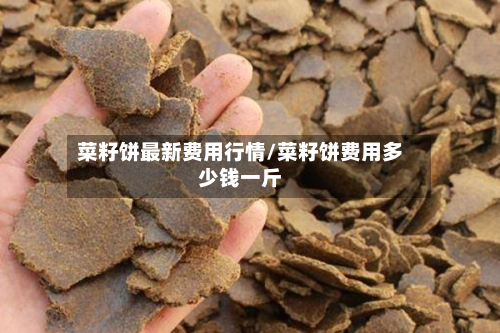 菜籽饼最新费用行情/菜籽饼费用多少钱一斤-第1张图片