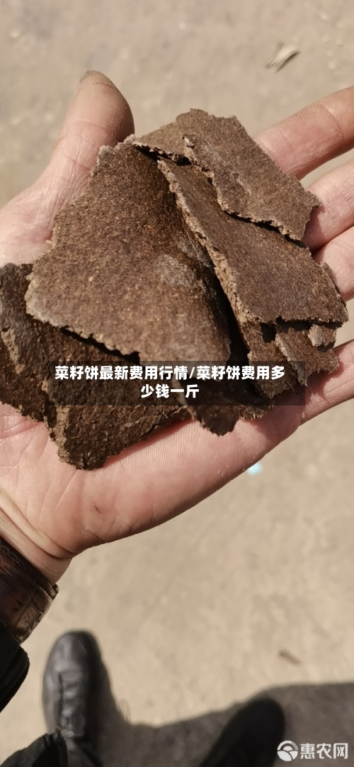 菜籽饼最新费用行情/菜籽饼费用多少钱一斤-第2张图片