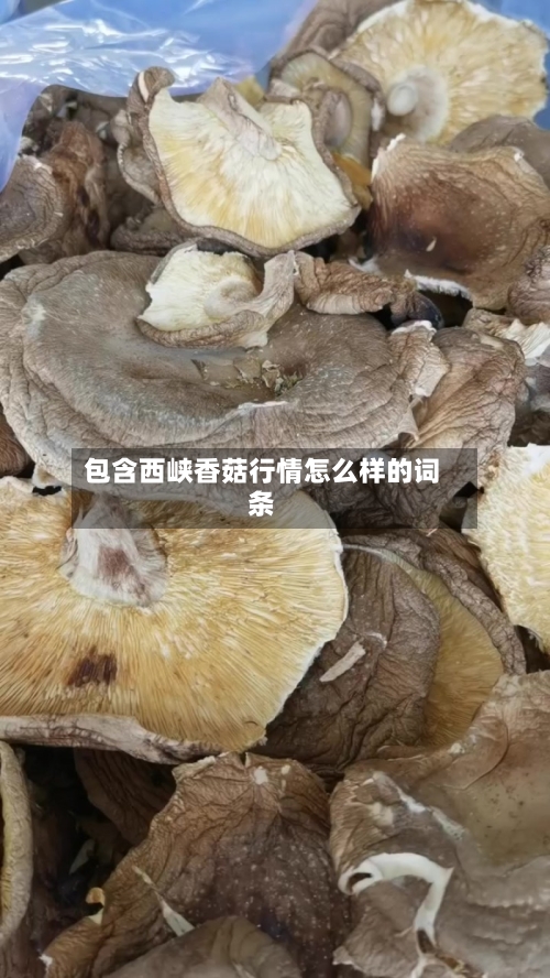 包含西峡香菇行情怎么样的词条-第1张图片