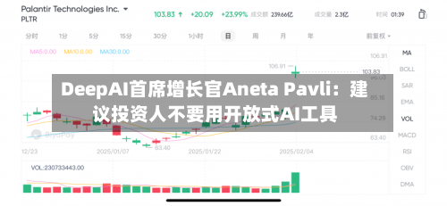 DeepAI首席增长官Aneta Pavli：建议投资人不要用开放式AI工具-第1张图片