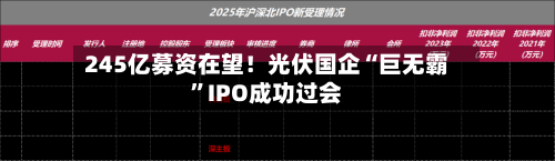 245亿募资在望！光伏国企“巨无霸”IPO成功过会-第2张图片