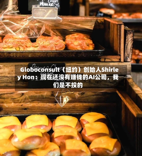 Globoconsult（纽约）创始人Shirley Hon：现在还没有赚钱的AI公司，我们是不投的-第2张图片