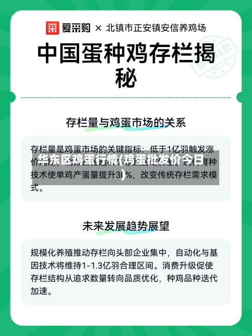 华东区鸡蛋行情(鸡蛋批发价今日)-第2张图片