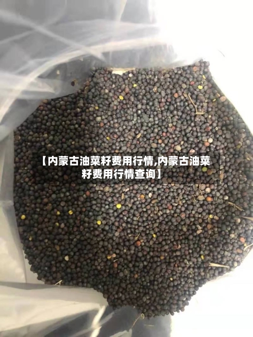 【内蒙古油菜籽费用行情,内蒙古油菜籽费用行情查询】-第2张图片