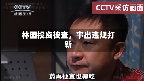 林园投资被查	，事出违规打新-第1张图片