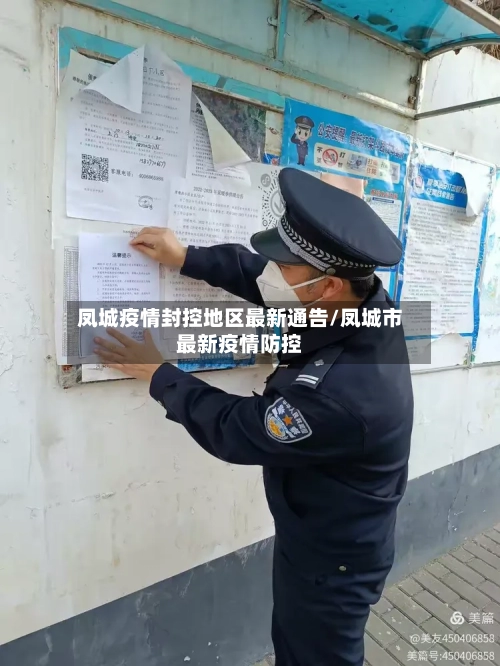 凤城疫情封控地区最新通告/凤城市最新疫情防控-第3张图片