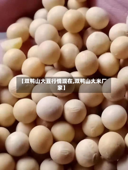 【双鸭山大豆行情现在,双鸭山大米厂家】-第1张图片