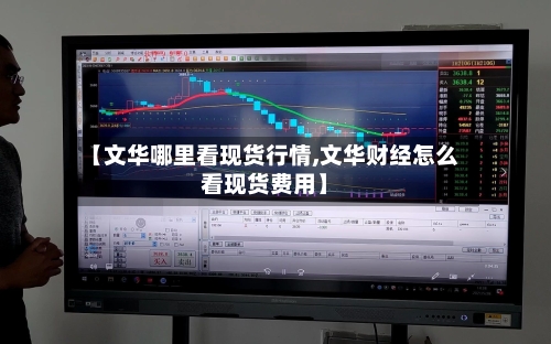 【文华哪里看现货行情,文华财经怎么看现货费用】-第2张图片