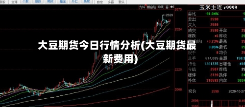 大豆期货今日行情分析(大豆期货最新费用)-第1张图片