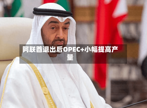 阿联酋退出后OPEC+小幅提高产量-第1张图片