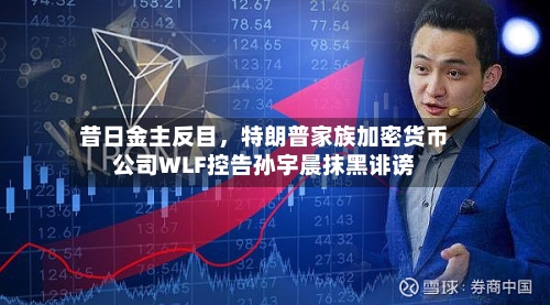 昔日金主反目，特朗普家族加密货币公司WLF控告孙宇晨抹黑诽谤-第2张图片