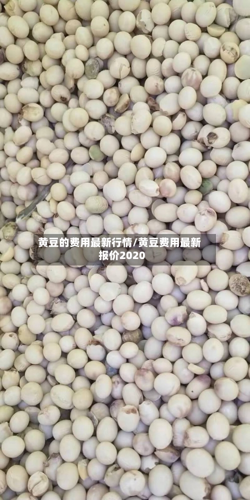 黄豆的费用最新行情/黄豆费用最新报价2020-第1张图片