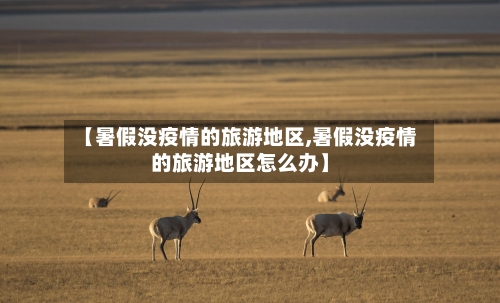 【暑假没疫情的旅游地区,暑假没疫情的旅游地区怎么办】-第1张图片