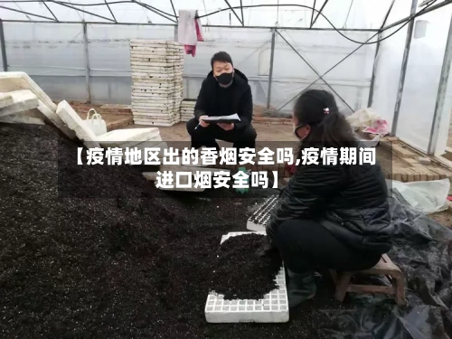 【疫情地区出的香烟安全吗,疫情期间进口烟安全吗】-第1张图片