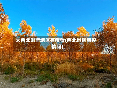 大西北哪些地区有疫情(西北地区有疫情吗)-第2张图片