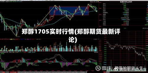 郑醇1705实时行情(郑醇期货最新评论)-第3张图片