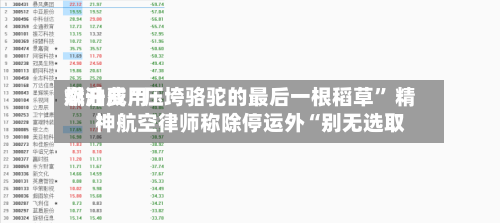 燃油费用飙升成“压垮骆驼的最后一根稻草	” 精神航空律师称除停运外“别无选取”-第3张图片