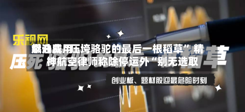 燃油费用飙升成“压垮骆驼的最后一根稻草” 精神航空律师称除停运外“别无选取”-第2张图片