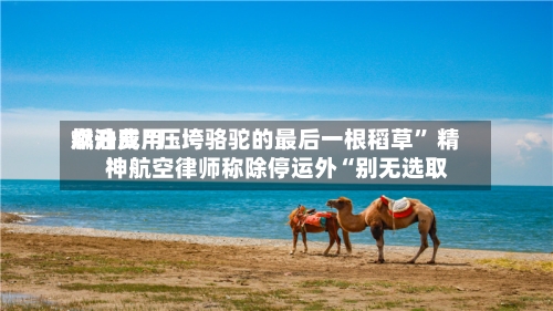 燃油费用飙升成“压垮骆驼的最后一根稻草	” 精神航空律师称除停运外“别无选取”-第1张图片