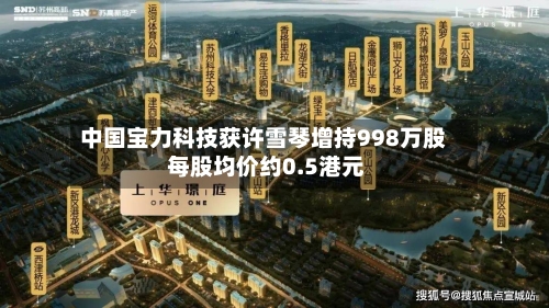 中国宝力科技获许雪琴增持998万股 每股均价约0.5港元-第1张图片