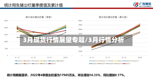 3月现货行情展望专题/3月行情分析-第1张图片