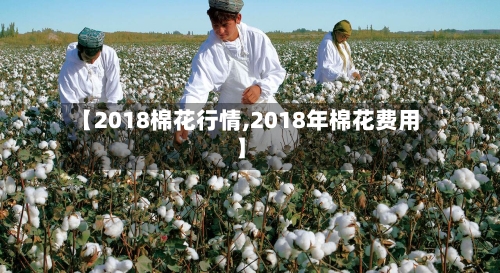 【2018棉花行情,2018年棉花费用】-第1张图片