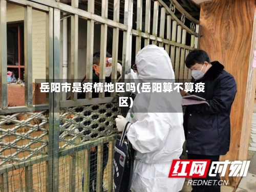 岳阳市是疫情地区吗(岳阳算不算疫区)-第2张图片