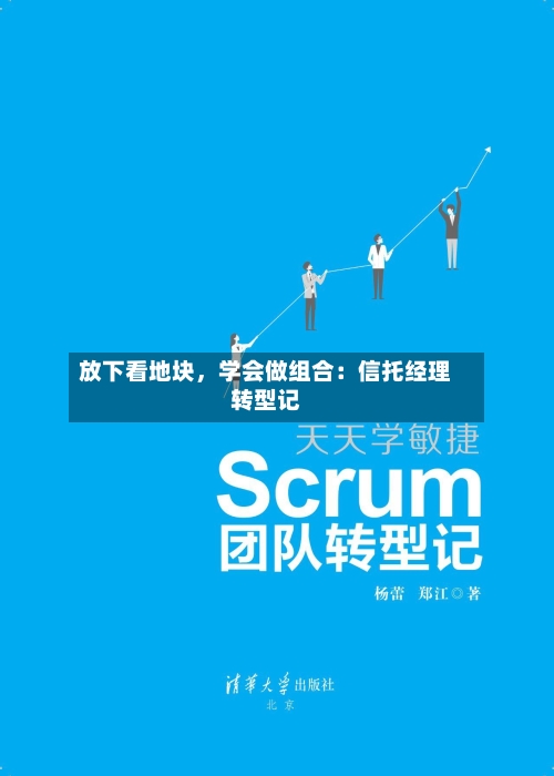 放下看地块	，学会做组合：信托经理转型记-第1张图片