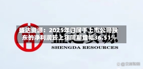 盛达资源：2025年归属于上市公司股东的净利润较上年同期增幅36.51%-第2张图片