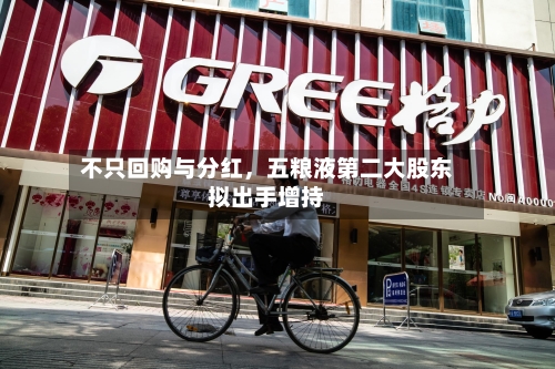 不只回购与分红，五粮液第二大股东拟出手增持-第3张图片