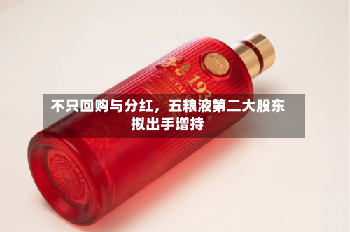 不只回购与分红	，五粮液第二大股东拟出手增持-第2张图片