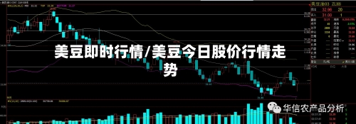 美豆即时行情/美豆今日股价行情走势-第2张图片