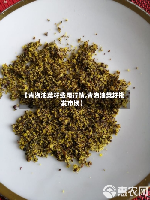 【青海油菜籽费用行情,青海油菜籽批发市场】-第3张图片