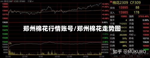 郑州棉花行情账号/郑州棉花走势图-第2张图片