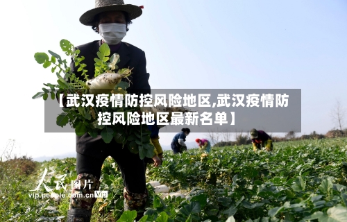 【武汉疫情防控风险地区,武汉疫情防控风险地区最新名单】-第1张图片