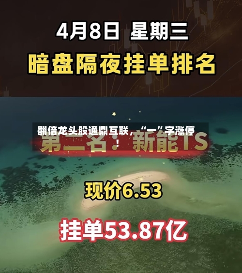 翻倍龙头股通鼎互联，“一”字涨停！-第1张图片